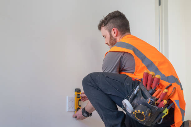 Best Electric Panel Repair  in Newberry, MI