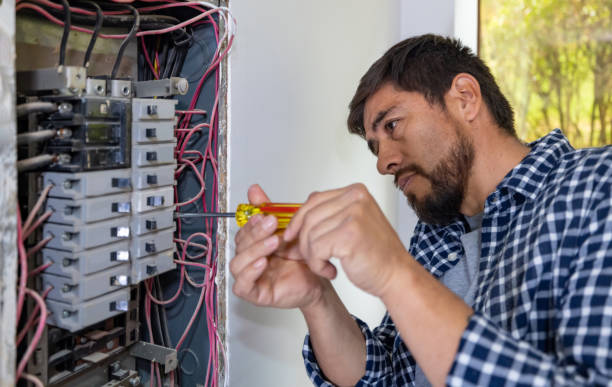 Best Residential Electrician Services  in Newberry, MI
